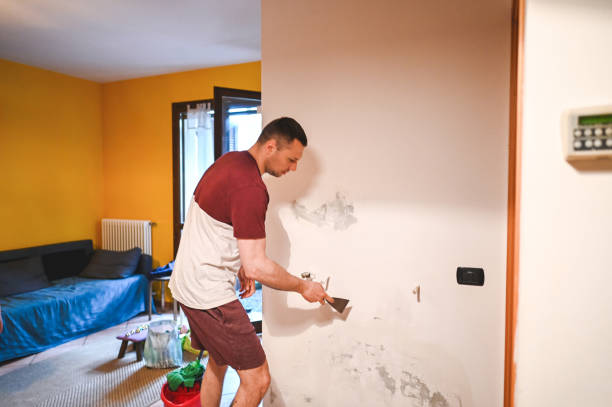 Best Mold Testing and Inspection Services in Hoopers Creek, NC